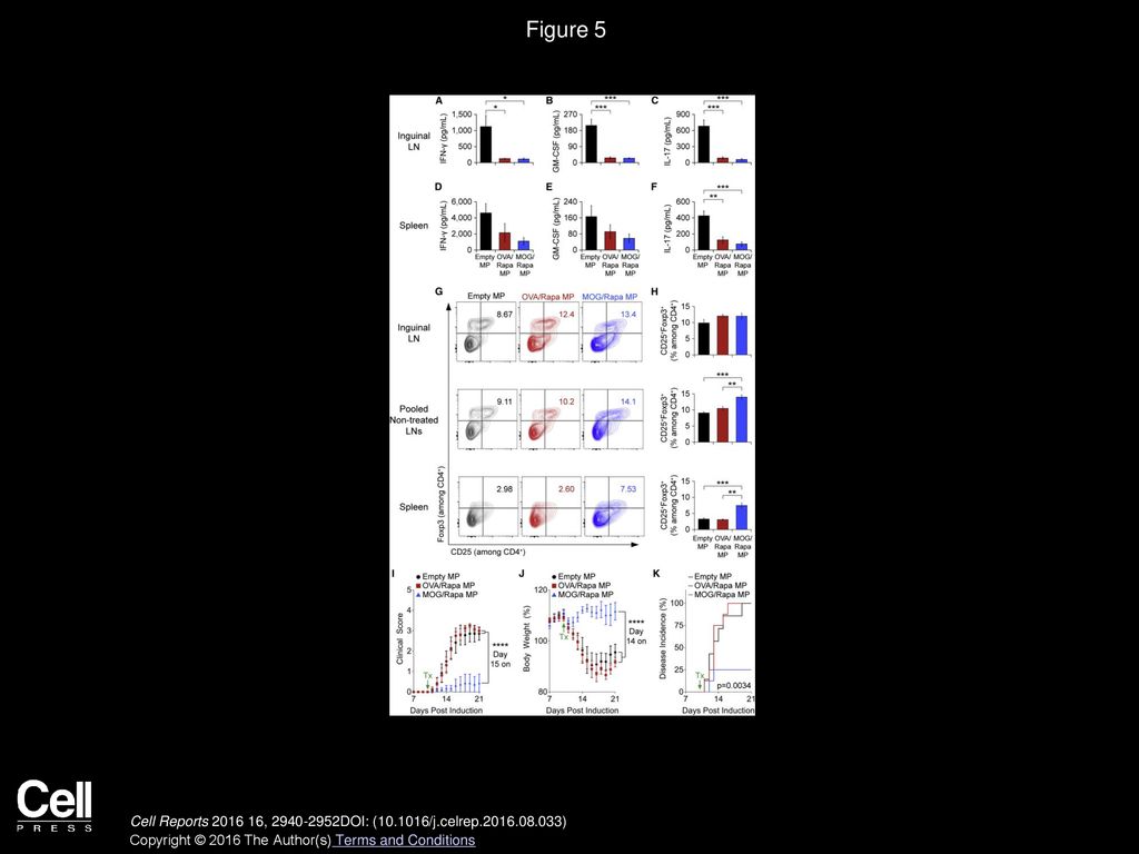 Figure 5 Incorporation of Self-Antigen Is Required for TREG Induction and Attenuation of Disease, but Not for Local Suppression of Inflammation.