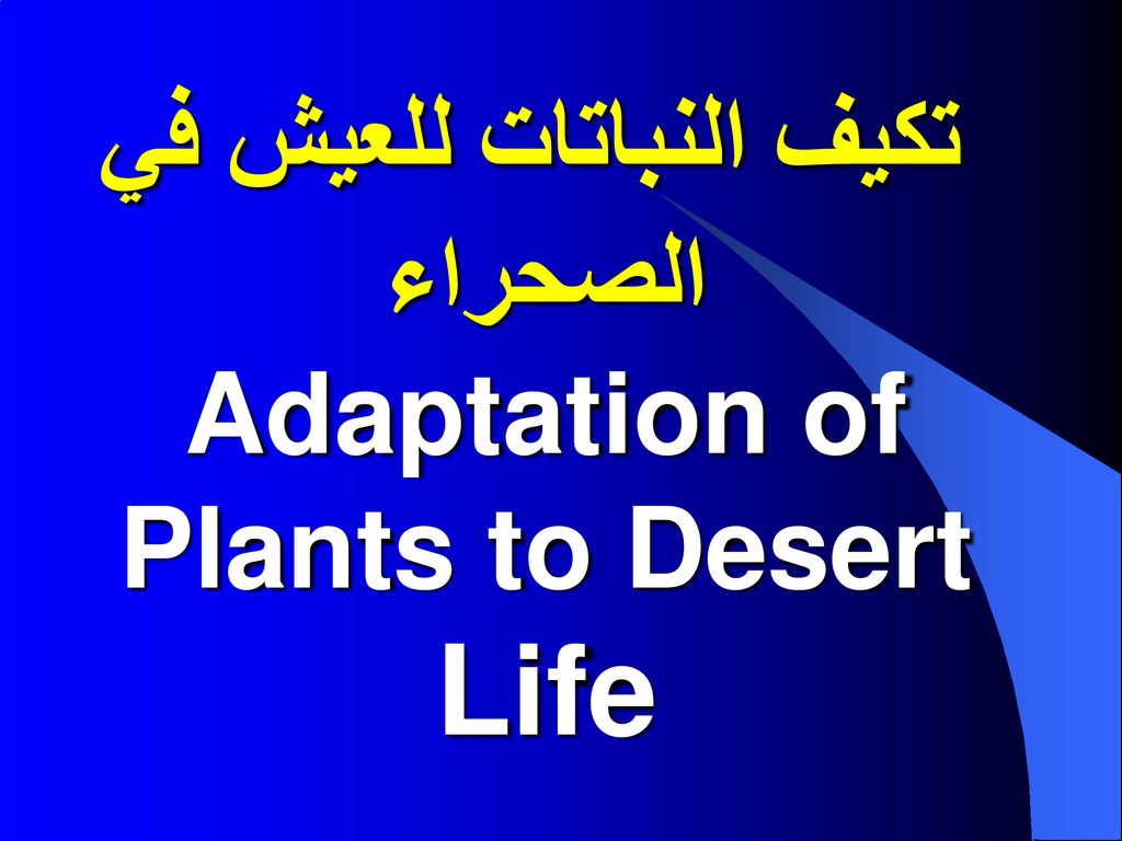 من تكيف النباتات الصحراوية