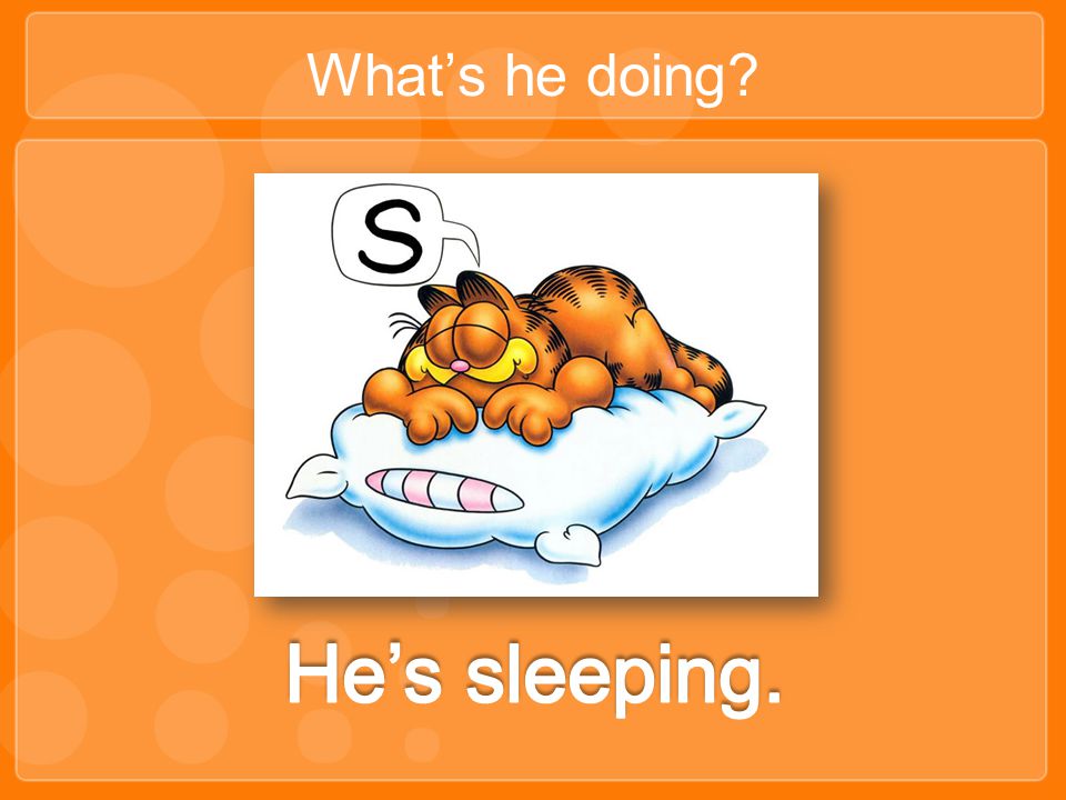 What’s he doing He’s sleeping.
