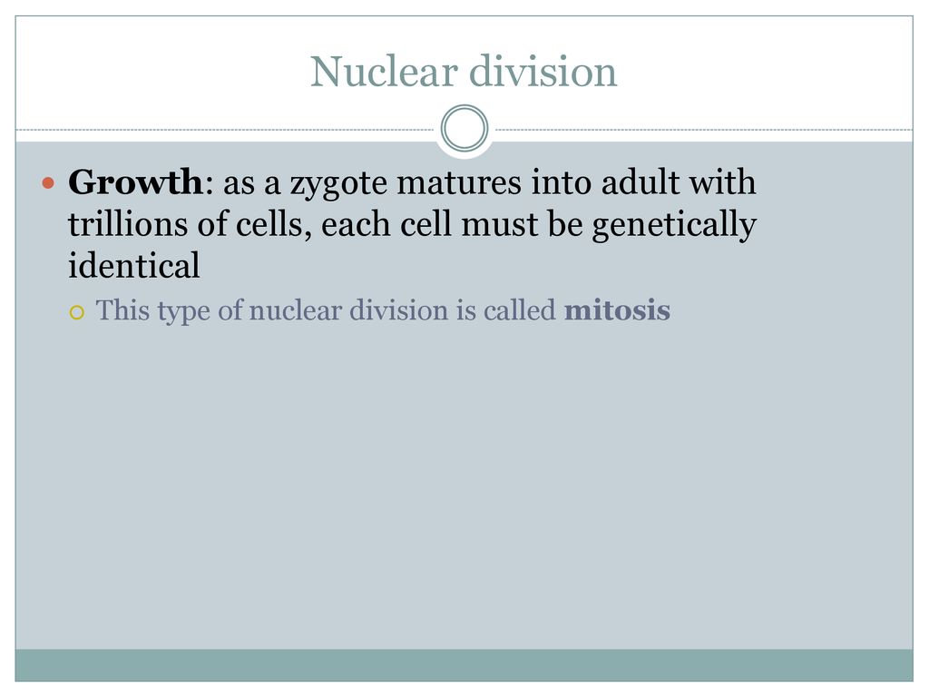 Nuclear division Growth: as a zygote matures into adult with trillions of cells, each cell must be genetically identical.