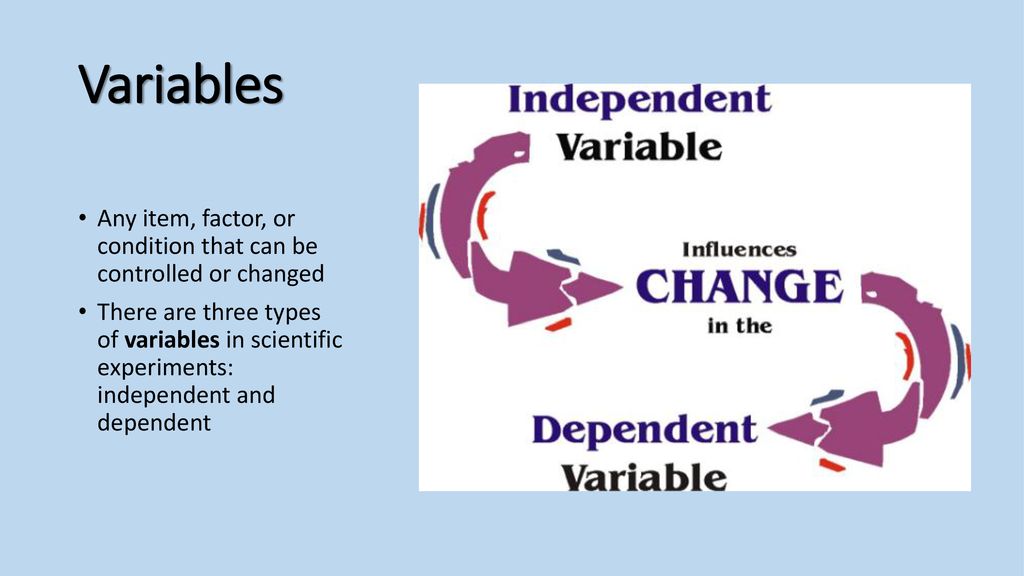 The nature of science visual vocabulary ppt download