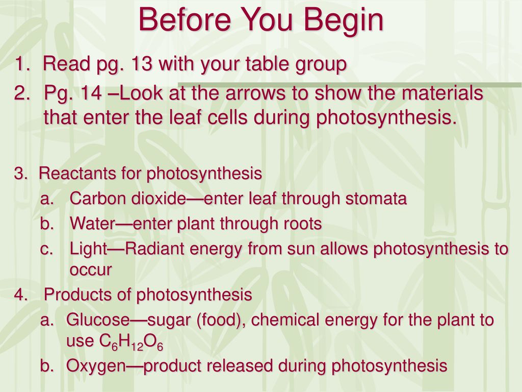 Before You Begin 1. Read pg. 13 with your table group