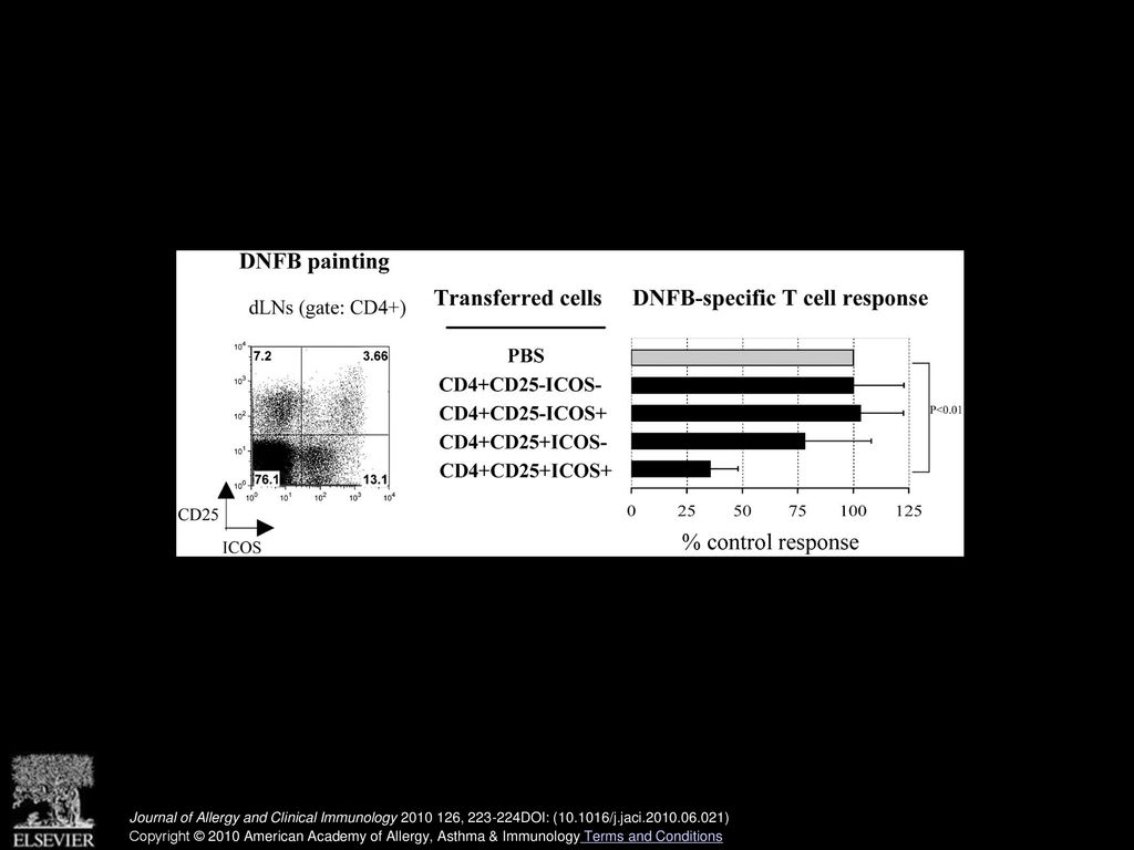 Highly suppressive ICOS+ Treg cells primed on 2,4-dinitrofluorobenzene sensitization.