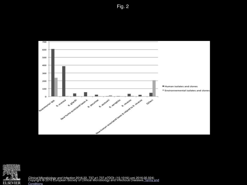 Fig. 2 Distribution of 846 sequences of Roseomonas spp. available in RDPII database according to origin (human or environmental) and to taxon.