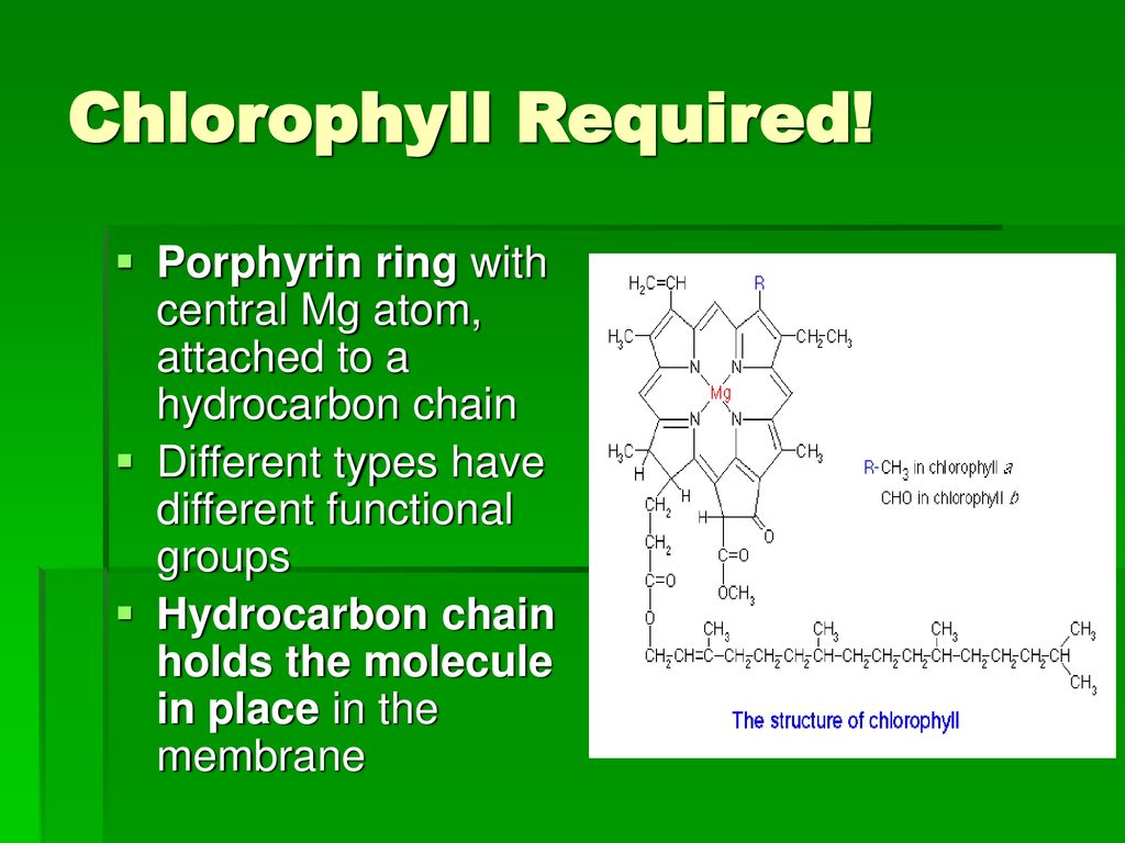 Structure of the side chain variables of chlorophyll molecules. | Download  Scientific Diagram