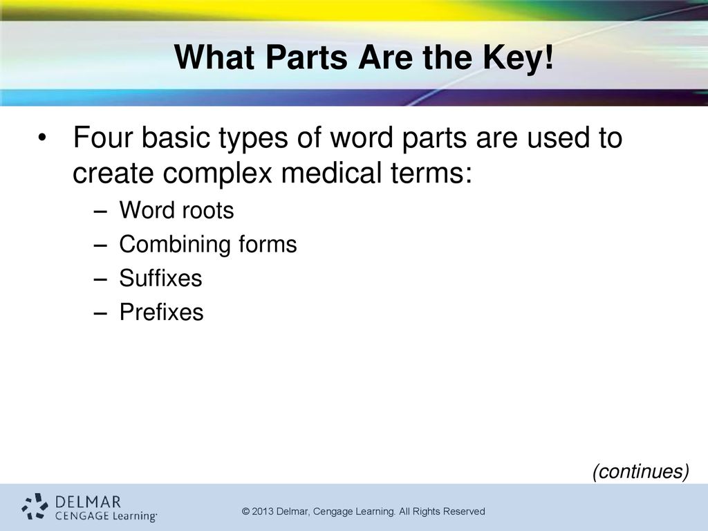 Medical terminology Chapter ppt download