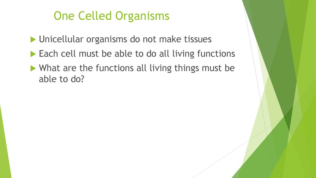 Biology Chapter 5 Section 1 Ppt Download biology-chapter-5-section-1-ppt-download