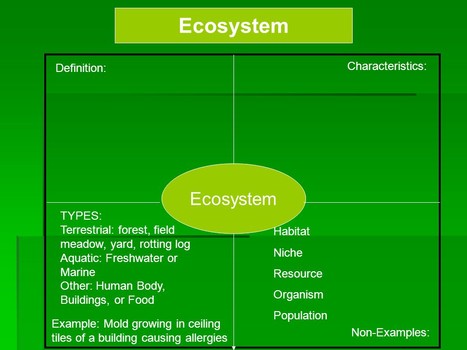 Principles Of Ecology Bio C2 Ppt Video Online Download