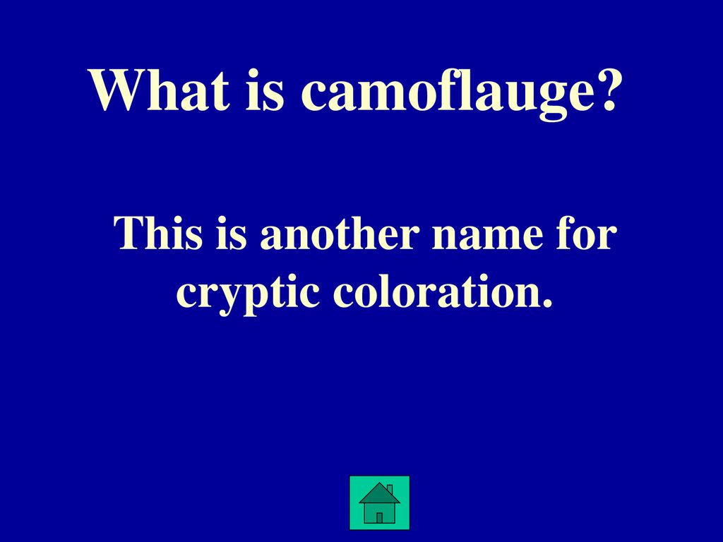 Jeopardy. ppt download