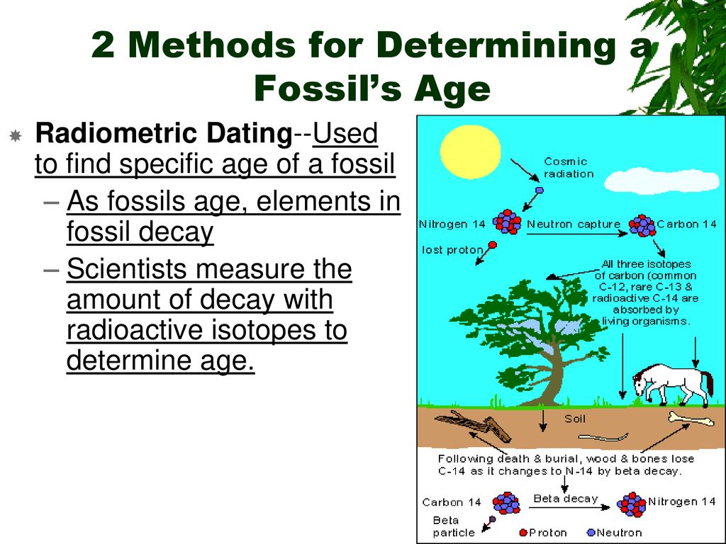 The origin of life notes ppt download