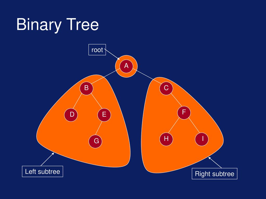 Lecture No.11 Data Structures Dr. Sohail Aslam - ppt download