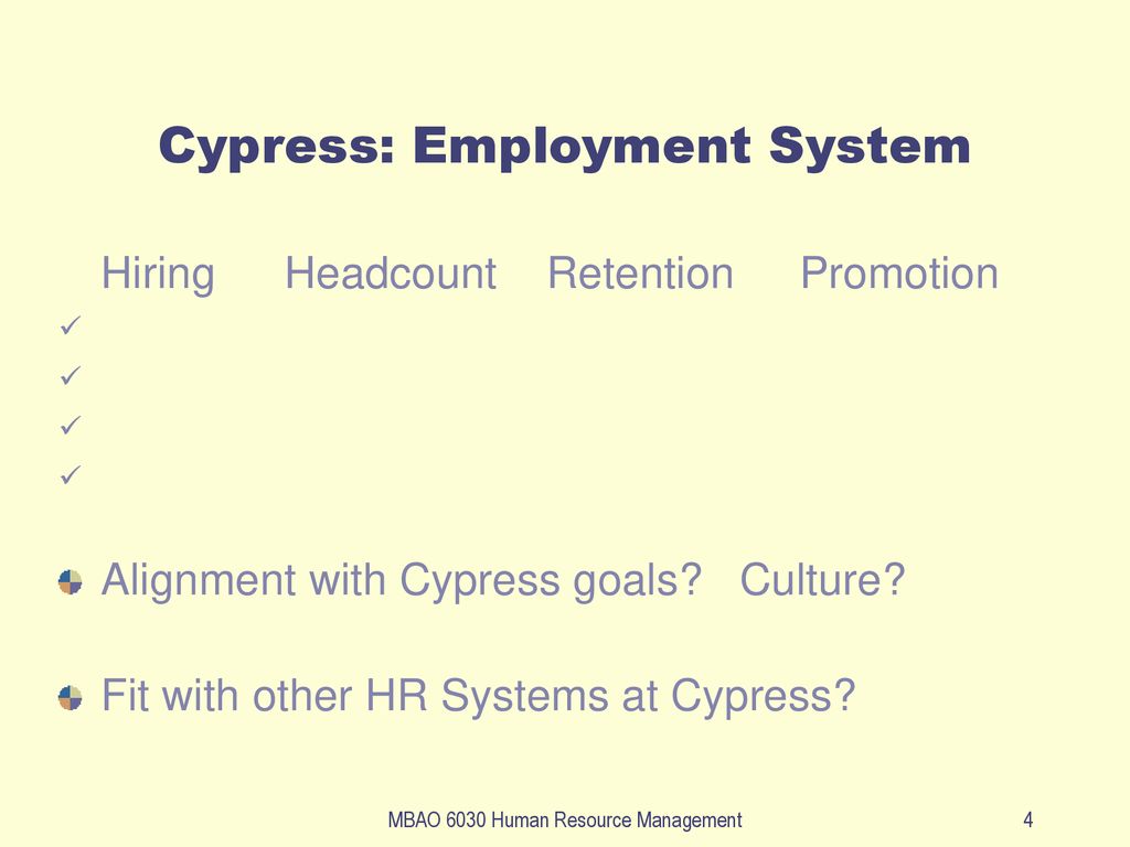 Cypress: Employment System