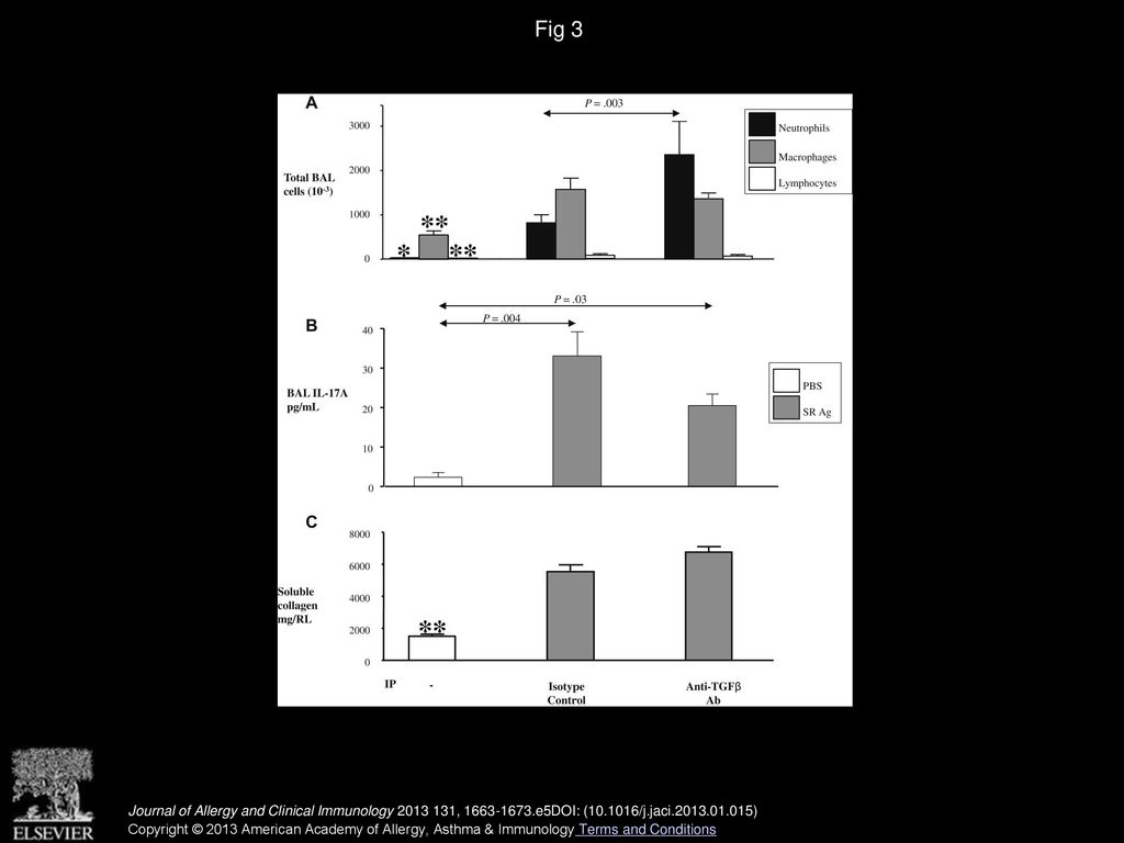 Role of IL-17A and neutrophils in fibrosis in experimental ...