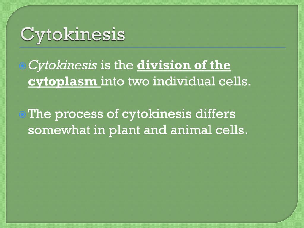 Wednesday, November 9th Miss Brawley. Biology Diagrams