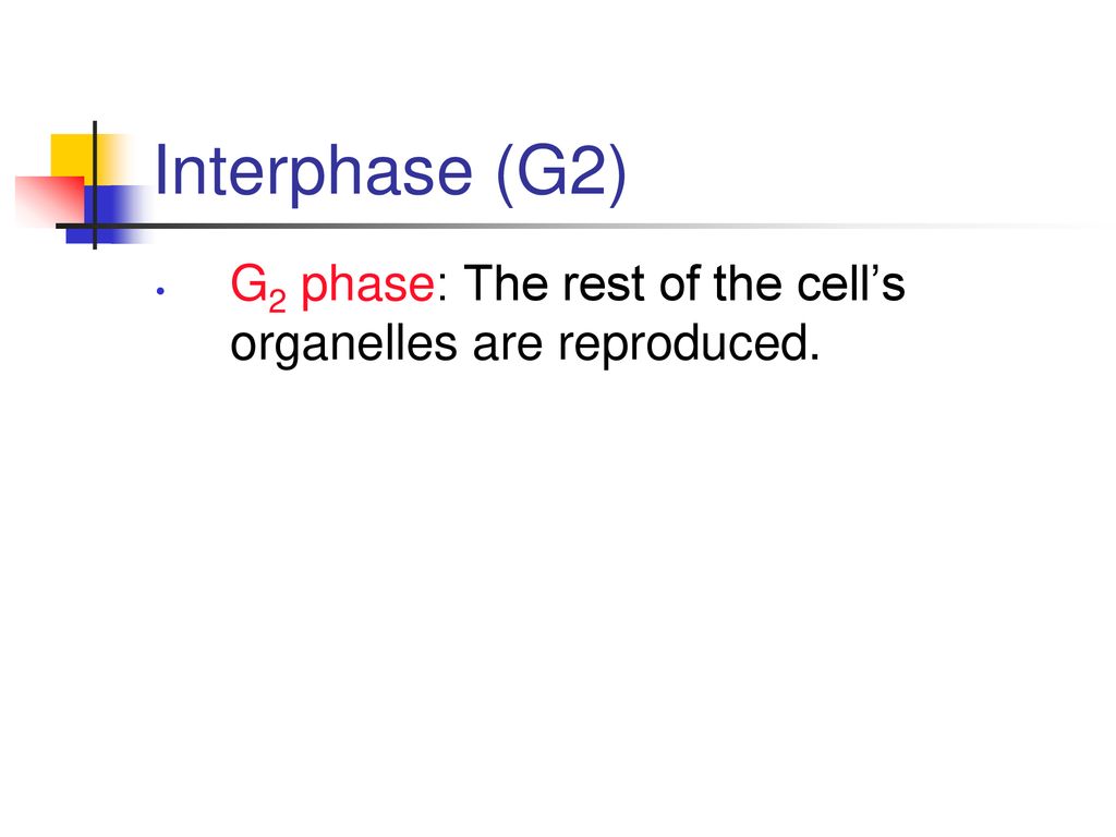 The Integumentary System Biology Diagrams