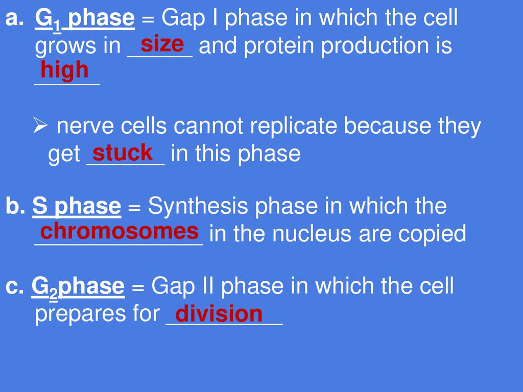 BIOLOGY NOTES GENETICS PART 1 PAGES Biology Diagrams
