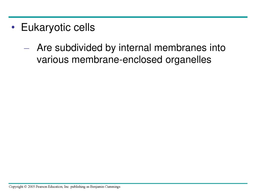 Eukaryotic cells Are subdivided by internal membranes into various membrane-enclosed organelles