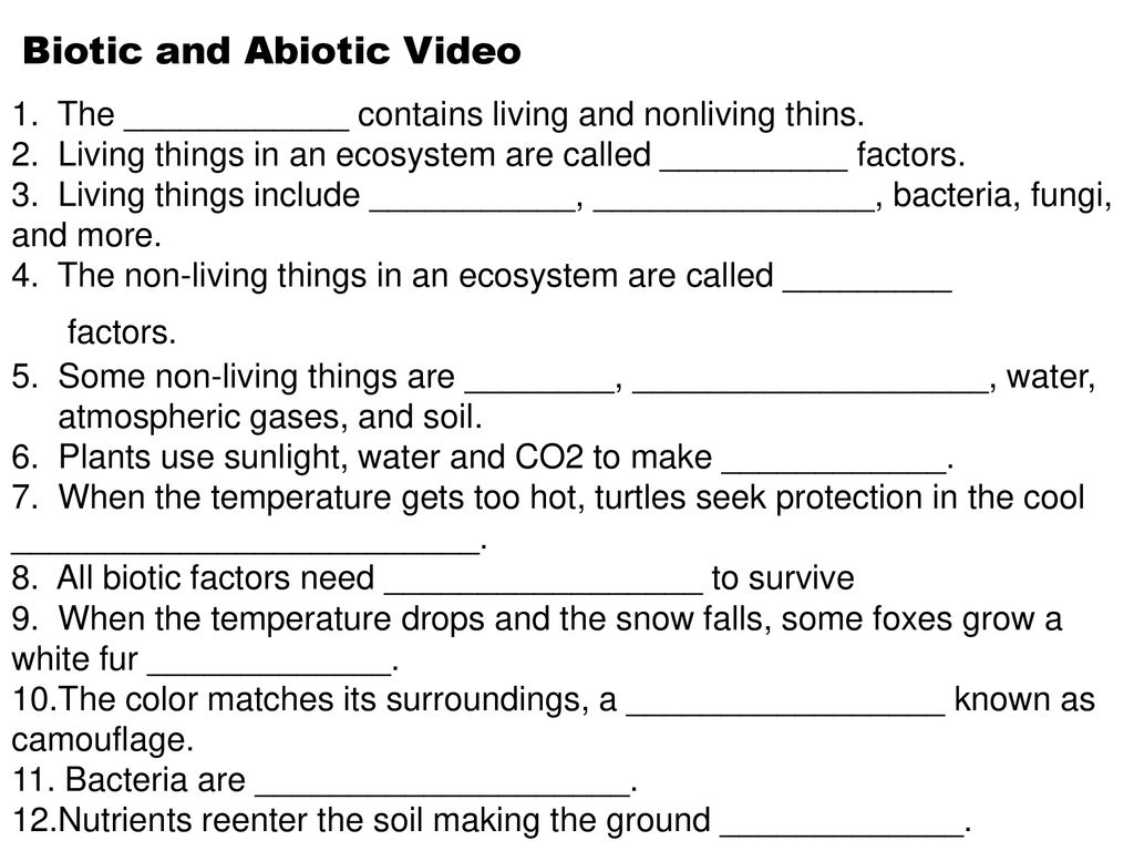 Biotic and Abiotic Video