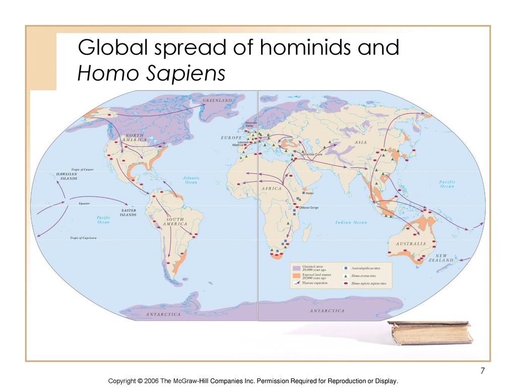 Global spread of hominids and Homo Sapiens