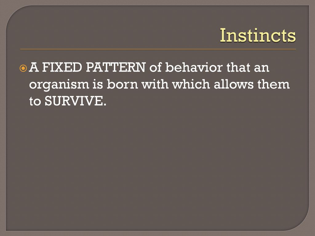 Instincts A FIXED PATTERN of behavior that an organism is born with which allows them to SURVIVE.