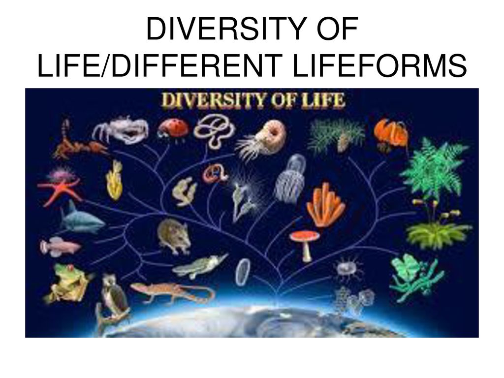 Variety is the of life. Diversity of Life. The diversity of Life on Earth. Diversity of Living Organisms. Living Organism картинка.