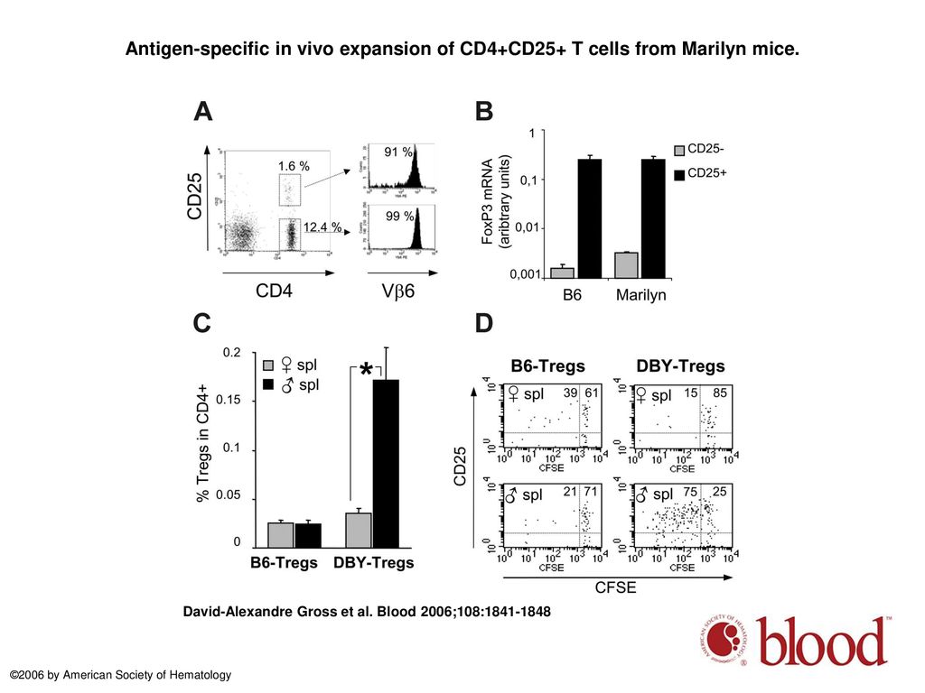 Antigen-specific in vivo expansion of CD4+CD25+ T cells from Marilyn mice.