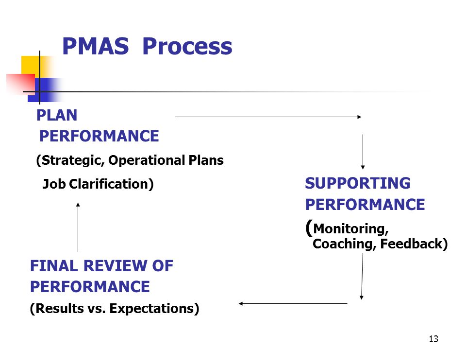 PMAS Process PLAN (Strategic, Operational Plans