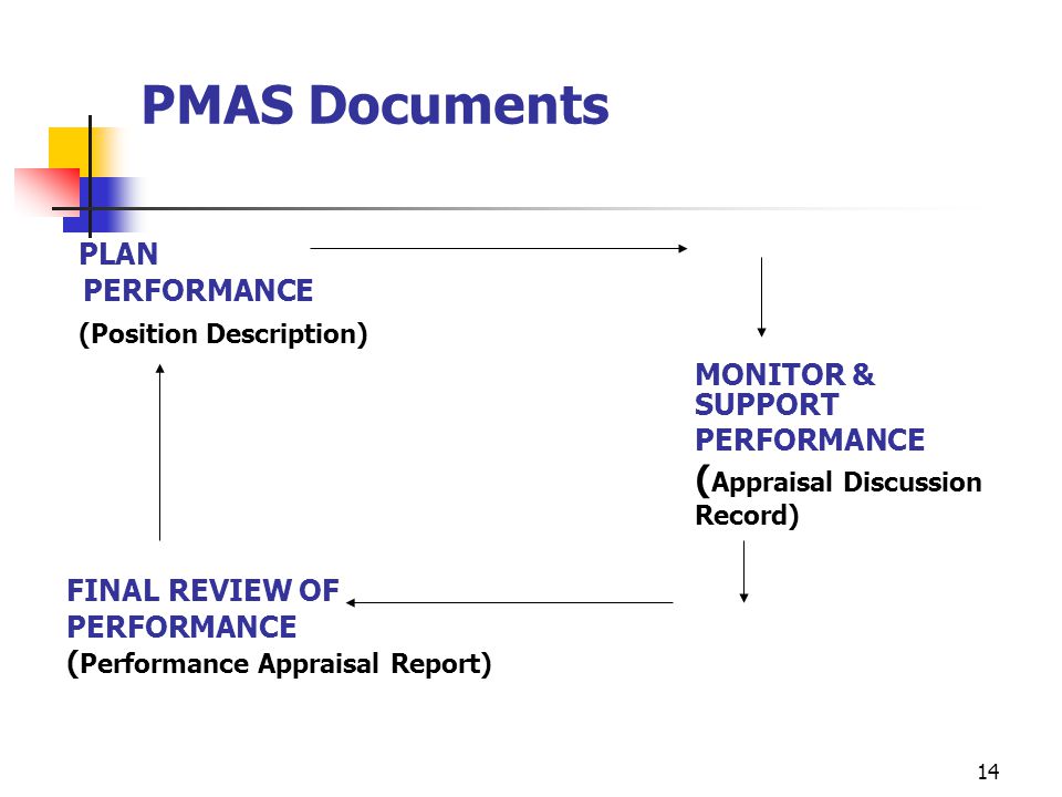 PMAS Documents PLAN (Position Description) MONITOR & SUPPORT
