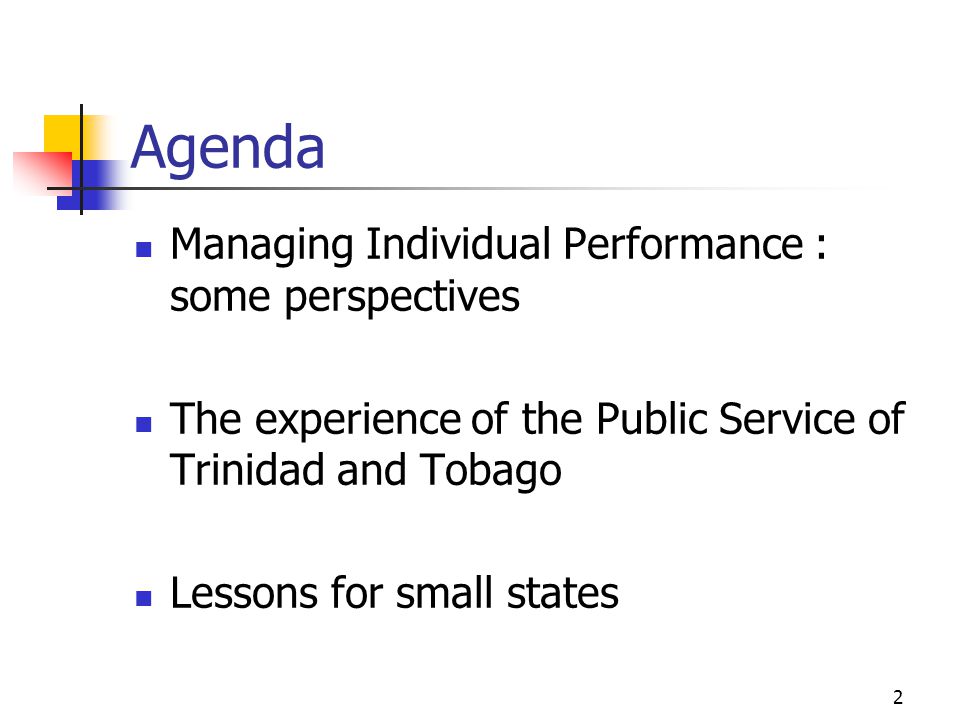 Agenda Managing Individual Performance : some perspectives
