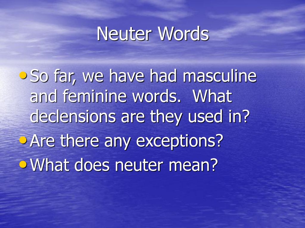 Neuters of the 2nd Declension ppt download