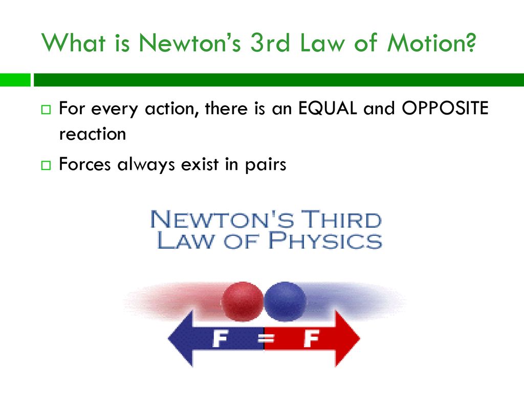 What is Newton’s 3rd Law of Motion? - ppt download