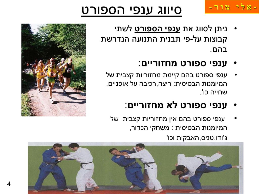 ×ª×•×¨×ª ×
