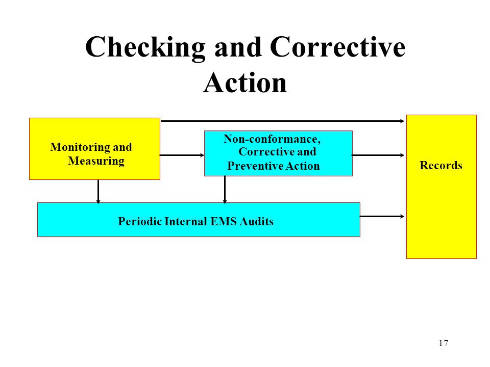 Checking and Corrective Action