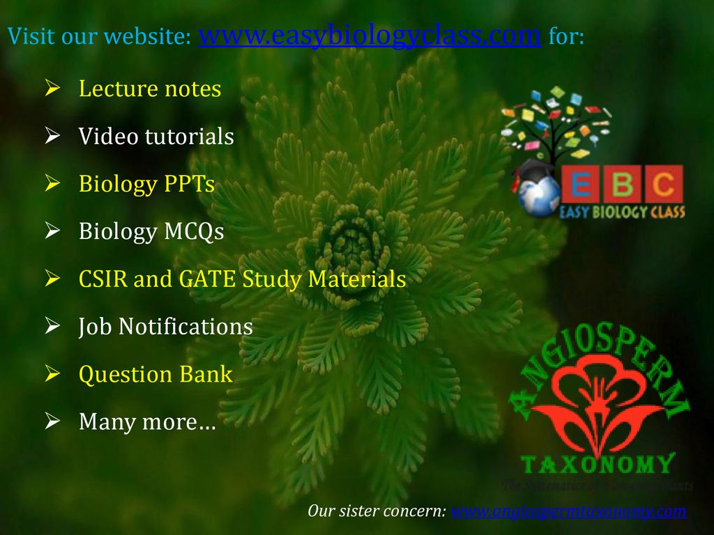 Visit our website:   for: Lecture notes