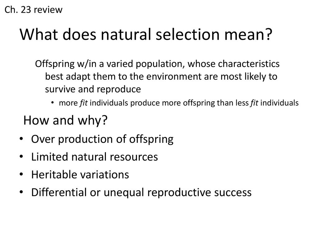 What does natural selection mean? - ppt download