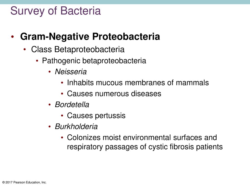 Survey of Bacteria Gram-Negative Proteobacteria