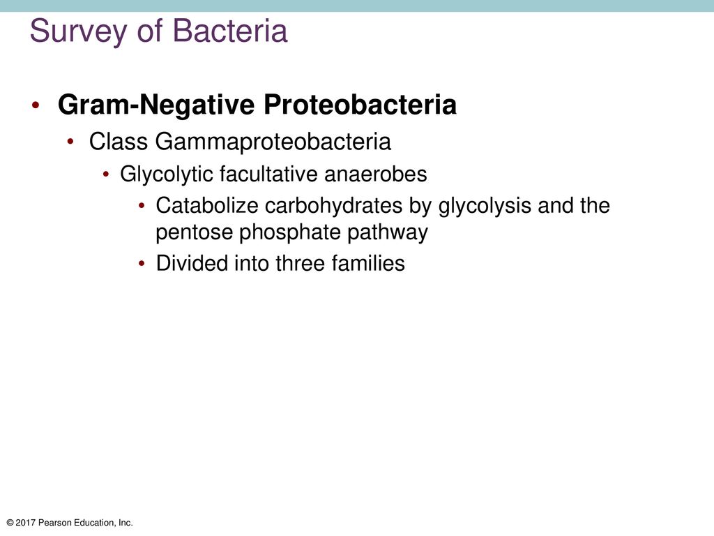 Survey of Bacteria Gram-Negative Proteobacteria