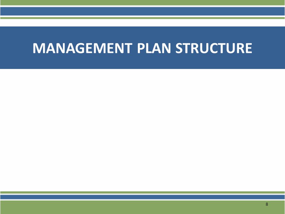Management Plan Structure
