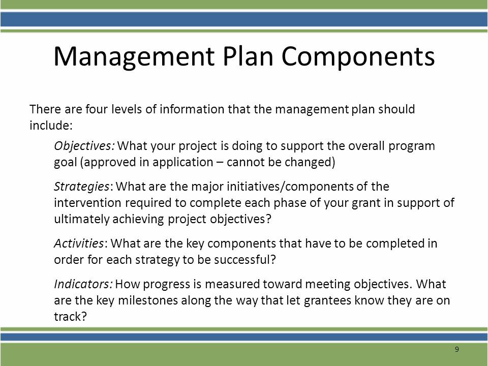 Management Plan Components