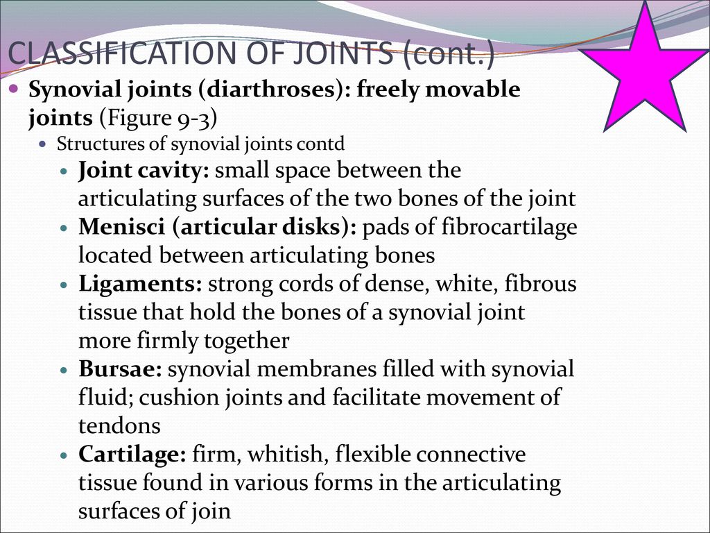 Chapter 9 Articulations ppt download