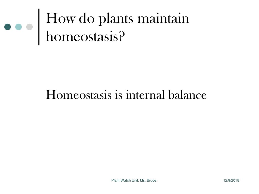 Ms j bruce 8th grade science sunset park prep ppt download