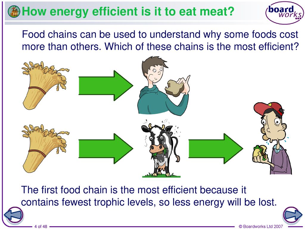 What are the benefits of eating plants ppt download