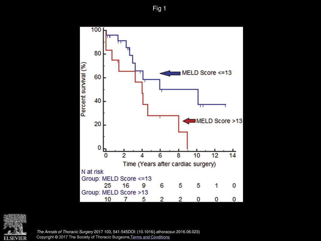 Fig 1 Kaplan-Meier survival stratified by preoperative Model for End-Stage Liver Disease (MELD) score (log-rank; p = 0.028).
