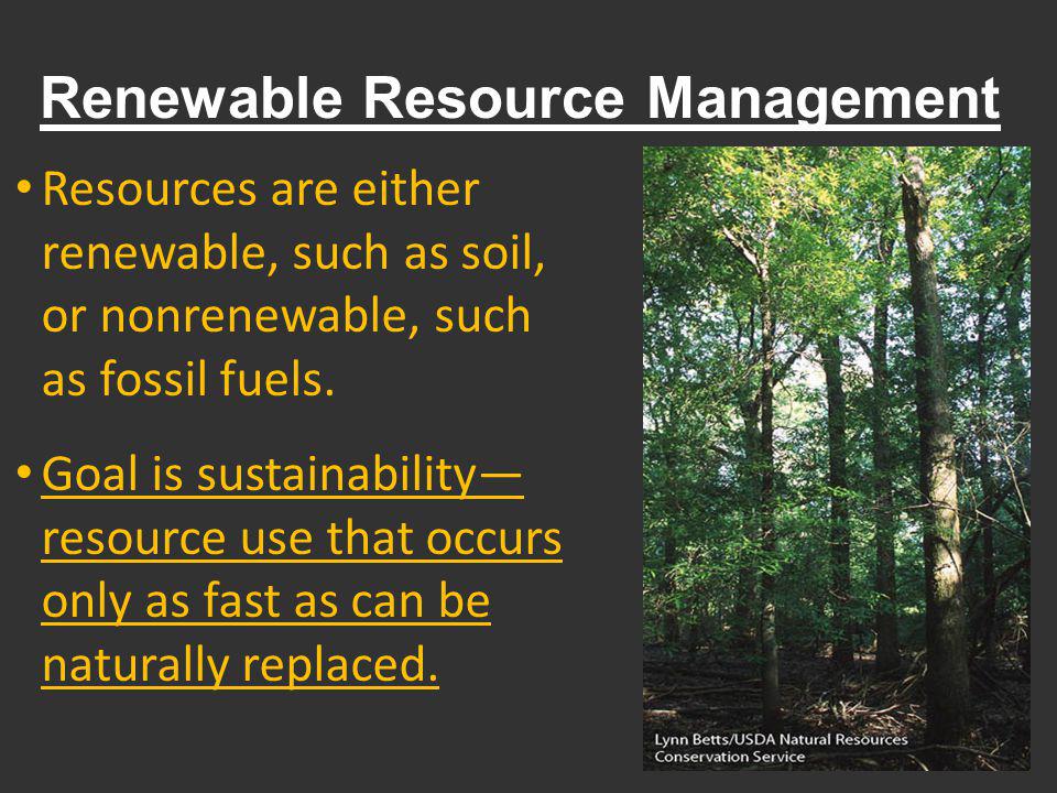 Maximizing Renewables: Effective Resource Management
