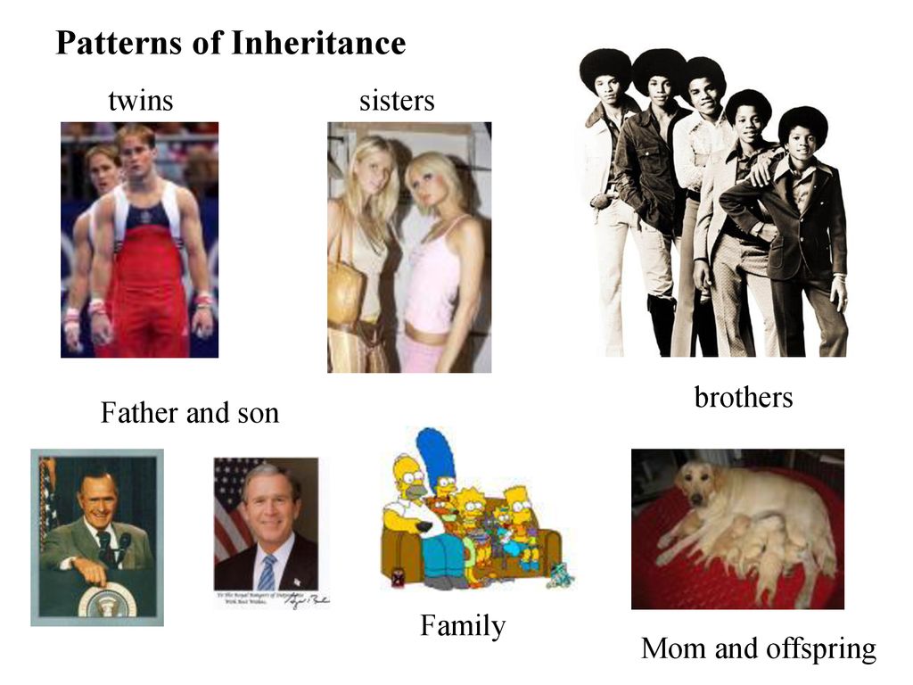 Outline 11 ii theories of inheritance a informal knowledge ppt download