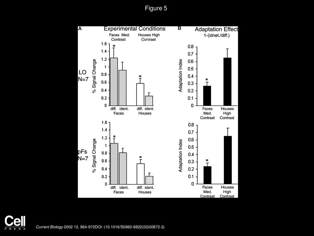 Figure 5 Direct Comparison of Contrast and Category Adaptation