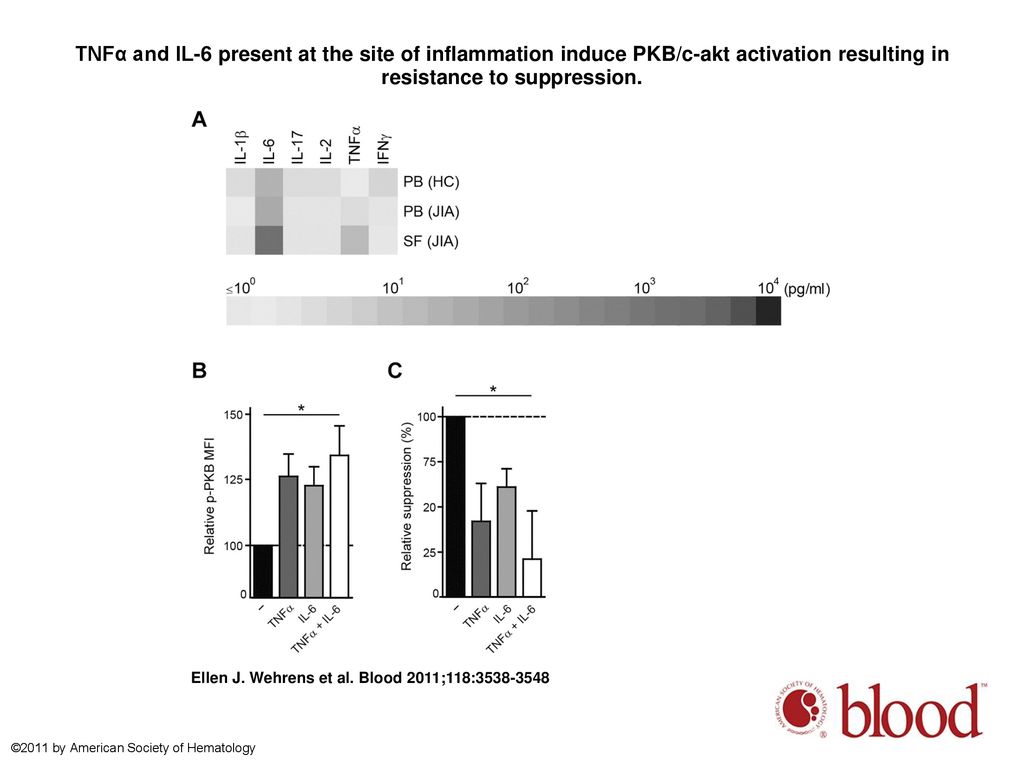 TNFα and IL-6 present at the site of inflammation induce PKB/c-akt activation resulting in resistance to suppression.