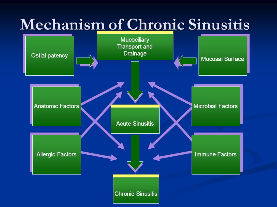 Pathophysiology Of Sinusitis In Flow Chart