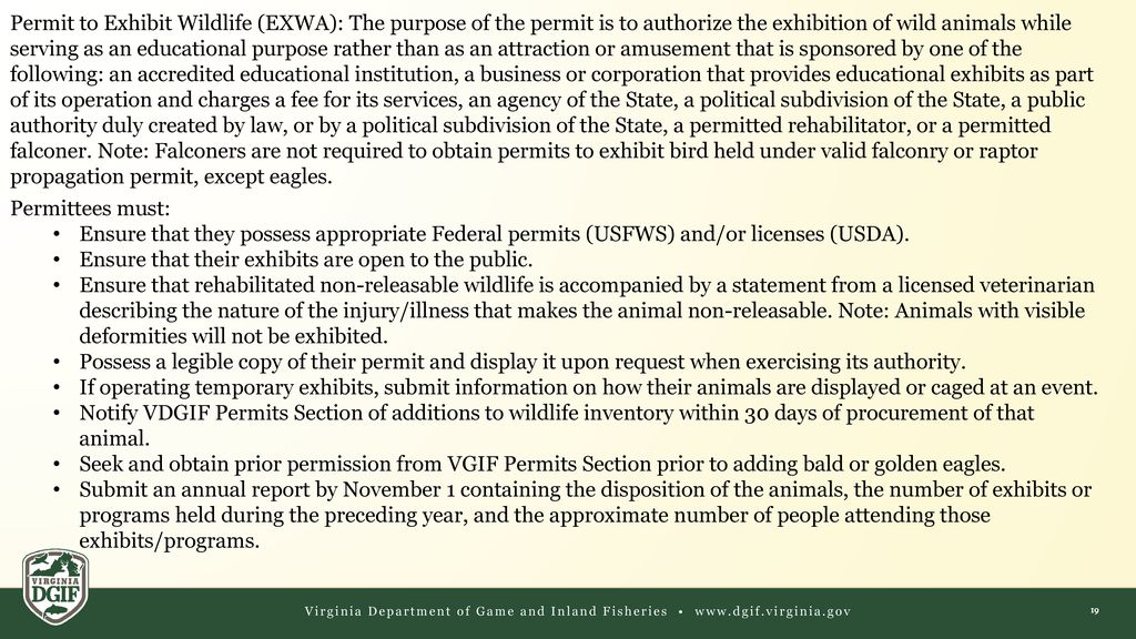 Wildlife Permits ppt download