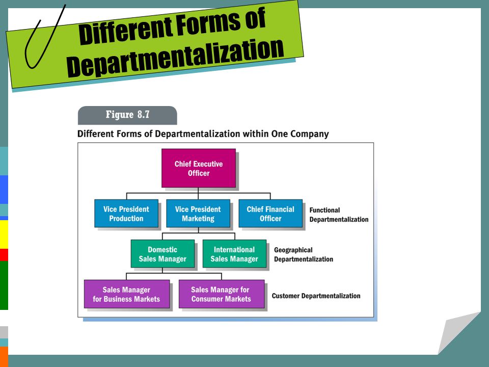 Different Forms of Departmentalization